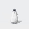White/Silver